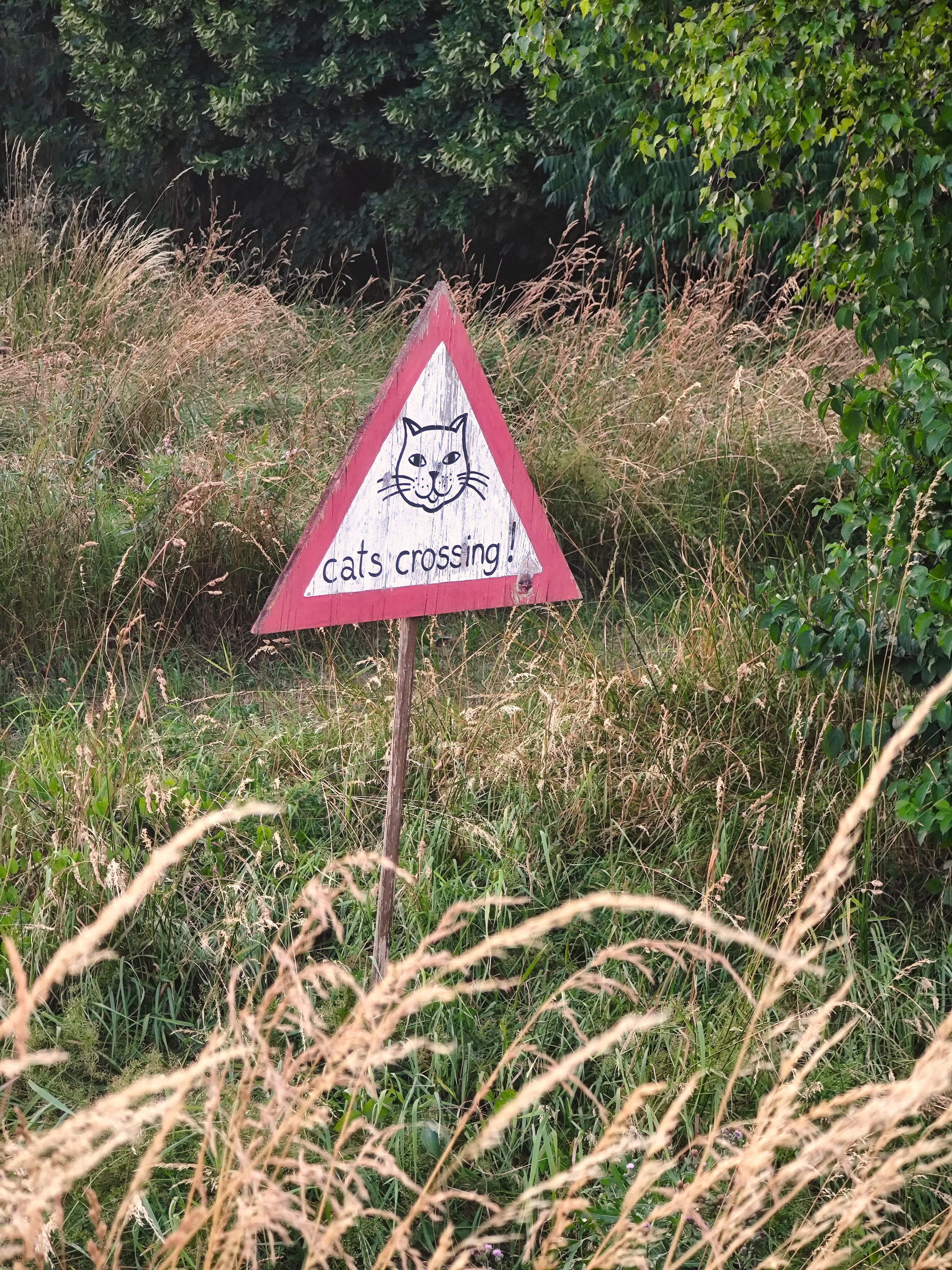 IMG 20230702 210725
