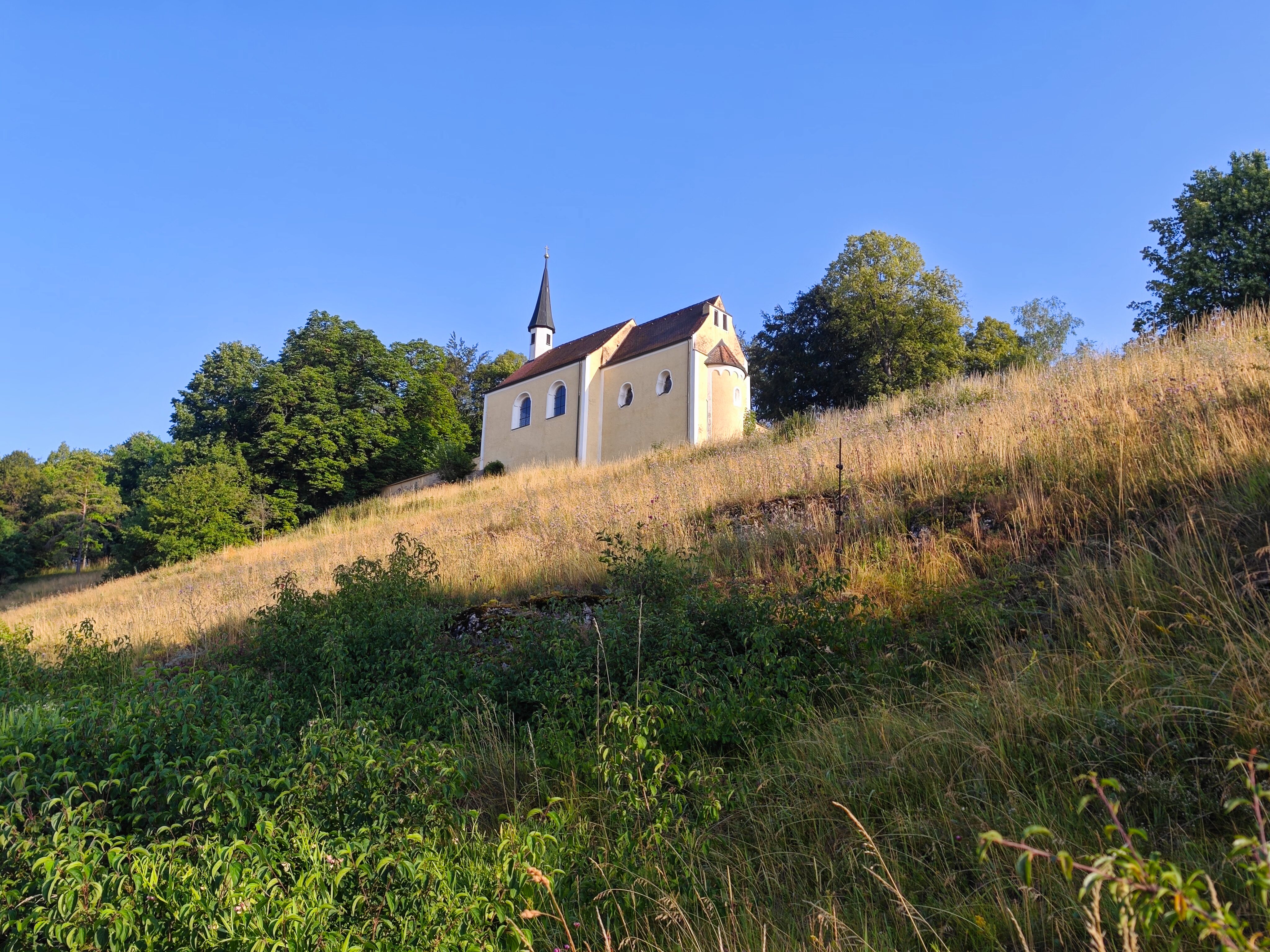 IMG 20230706 071840