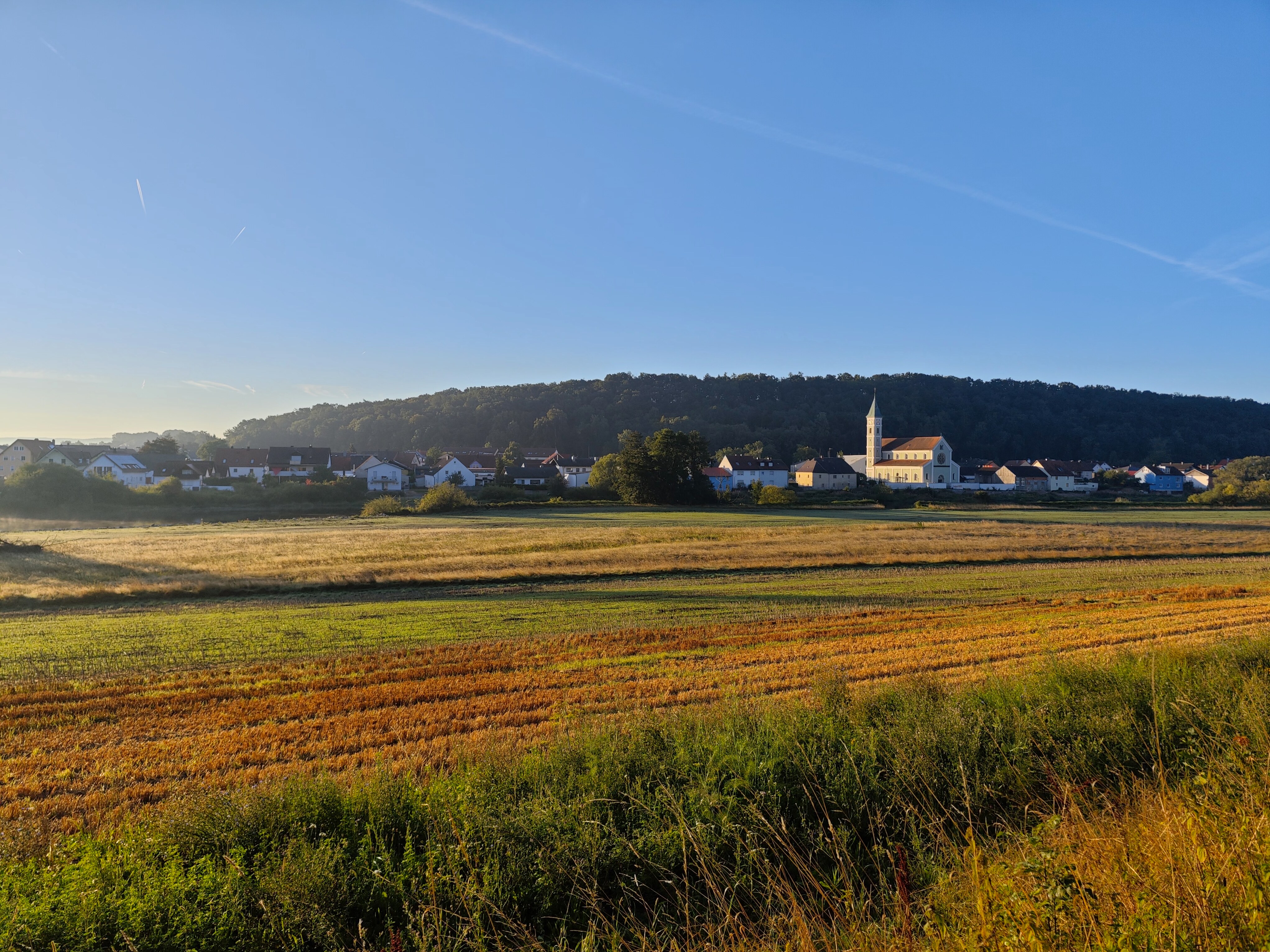 IMG 20230812 064727