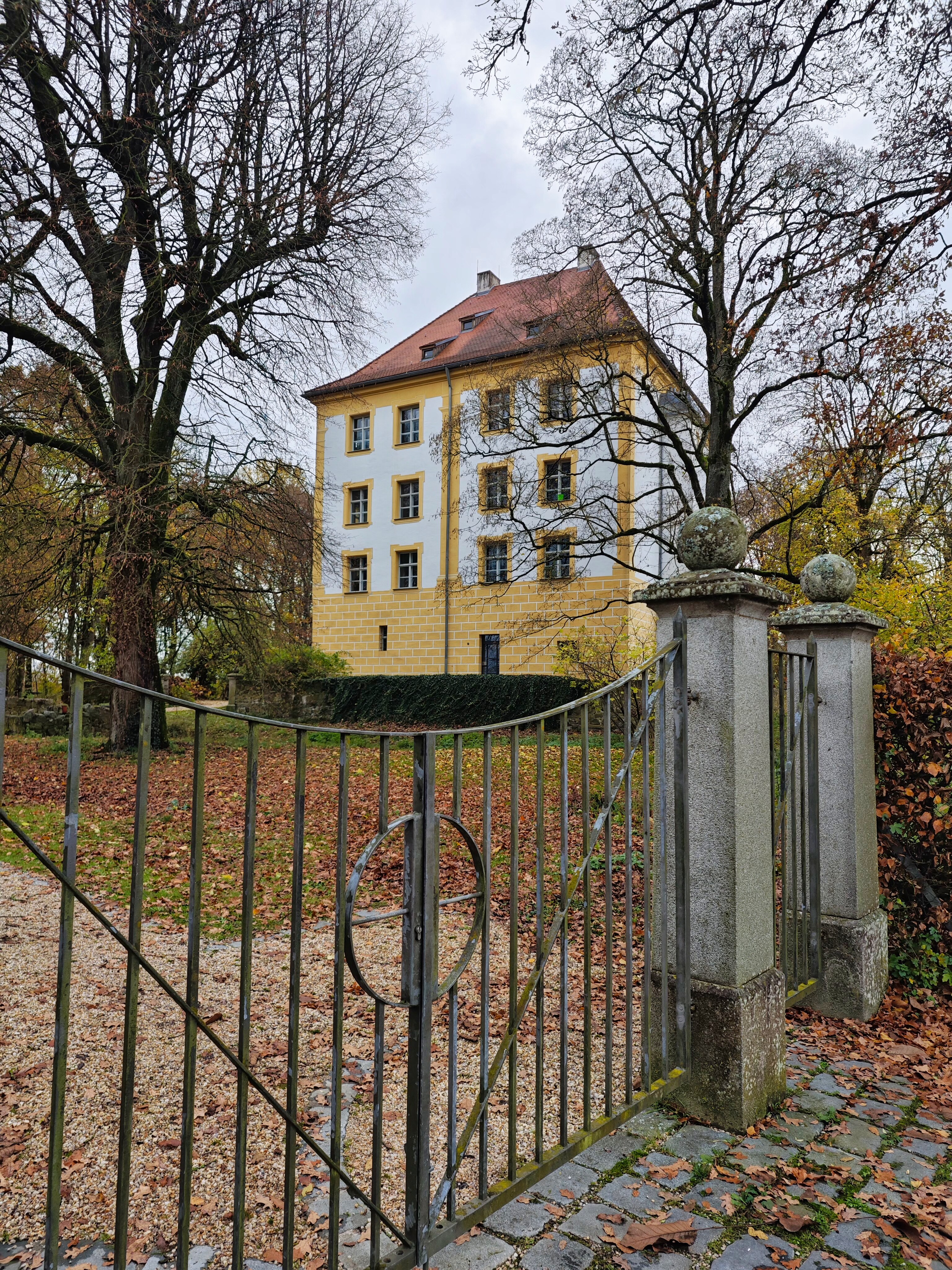 IMG 20231112 142456