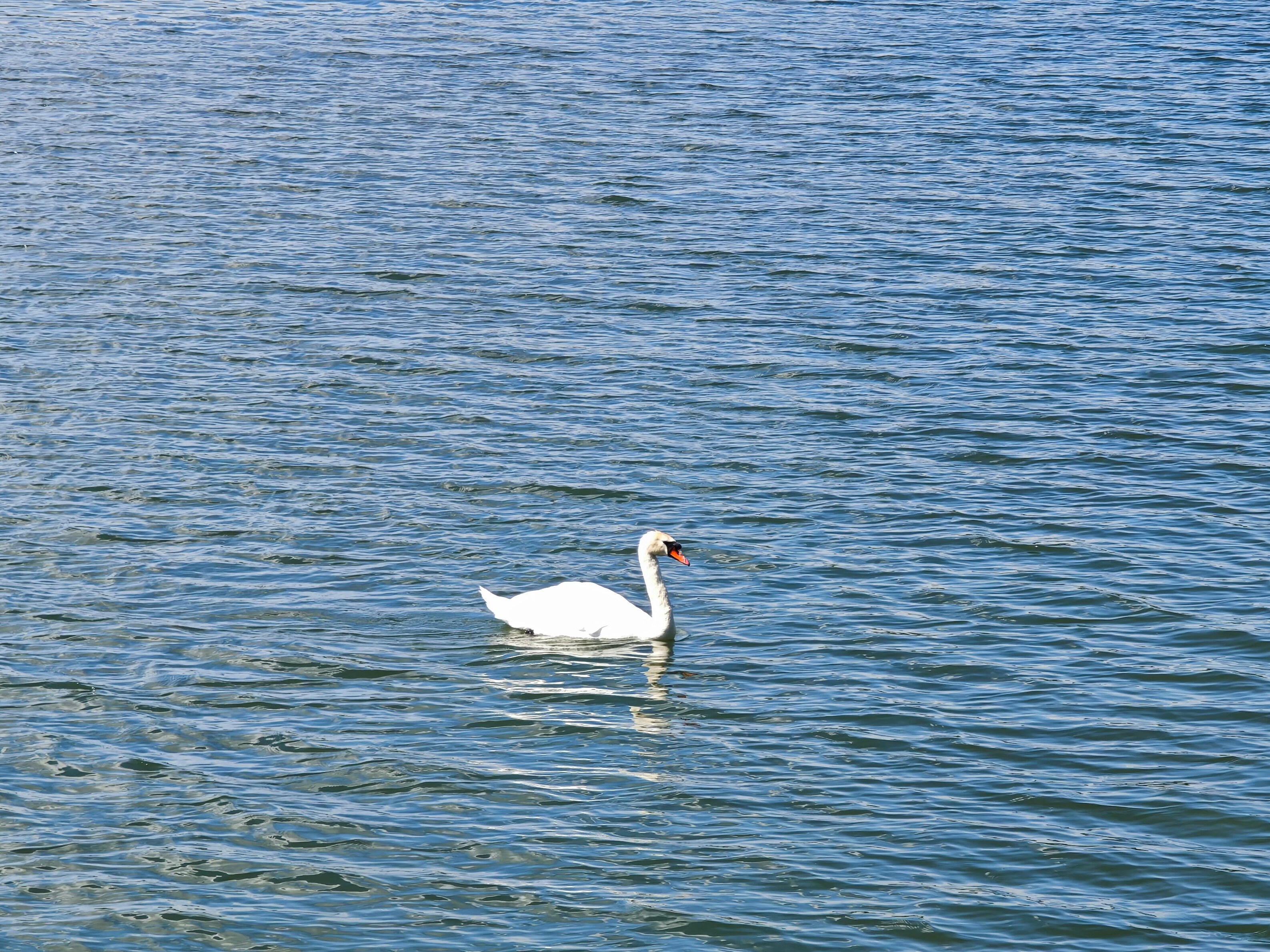 IMG 20240512 150323