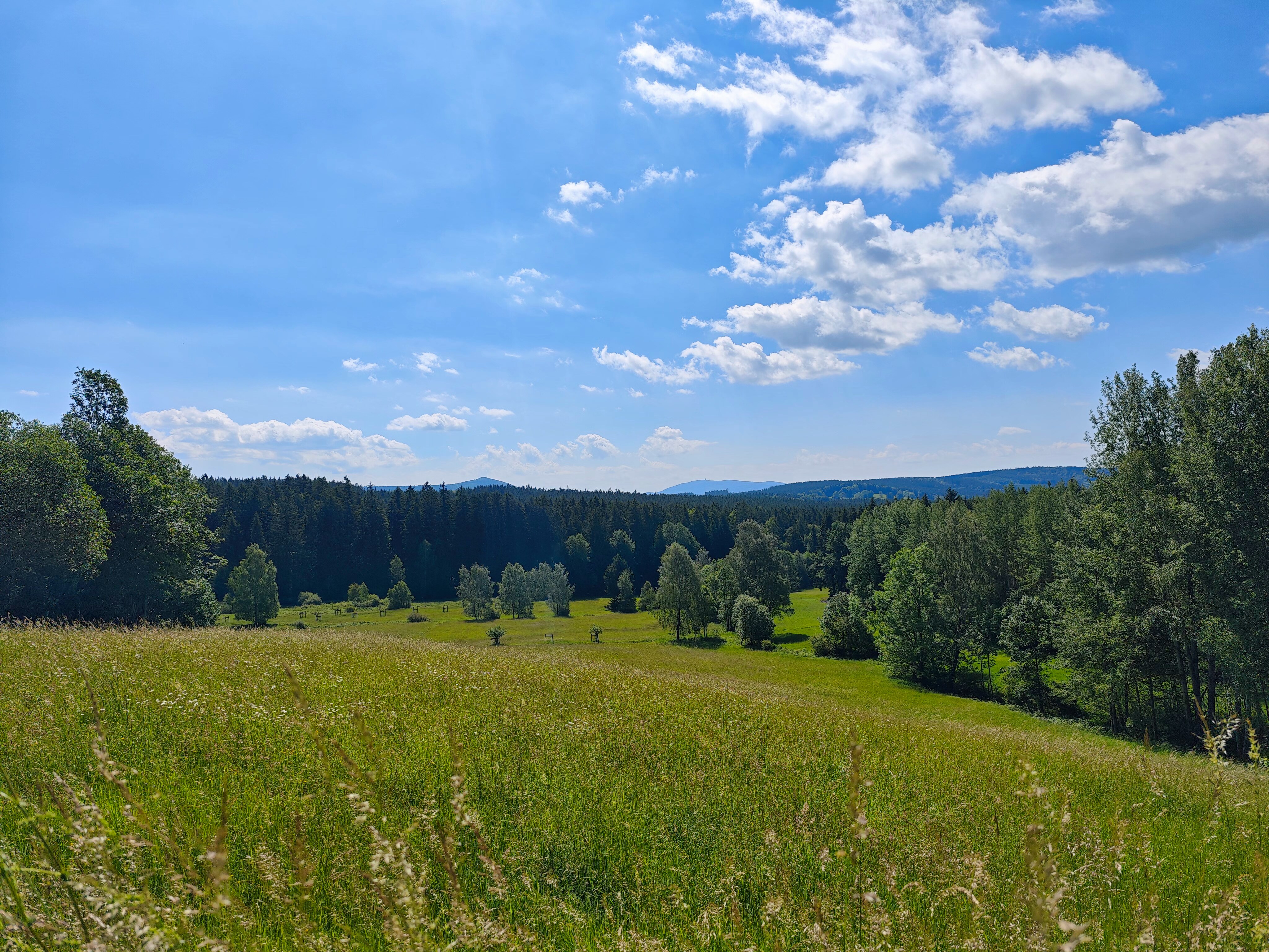 IMG 20240608 105044
