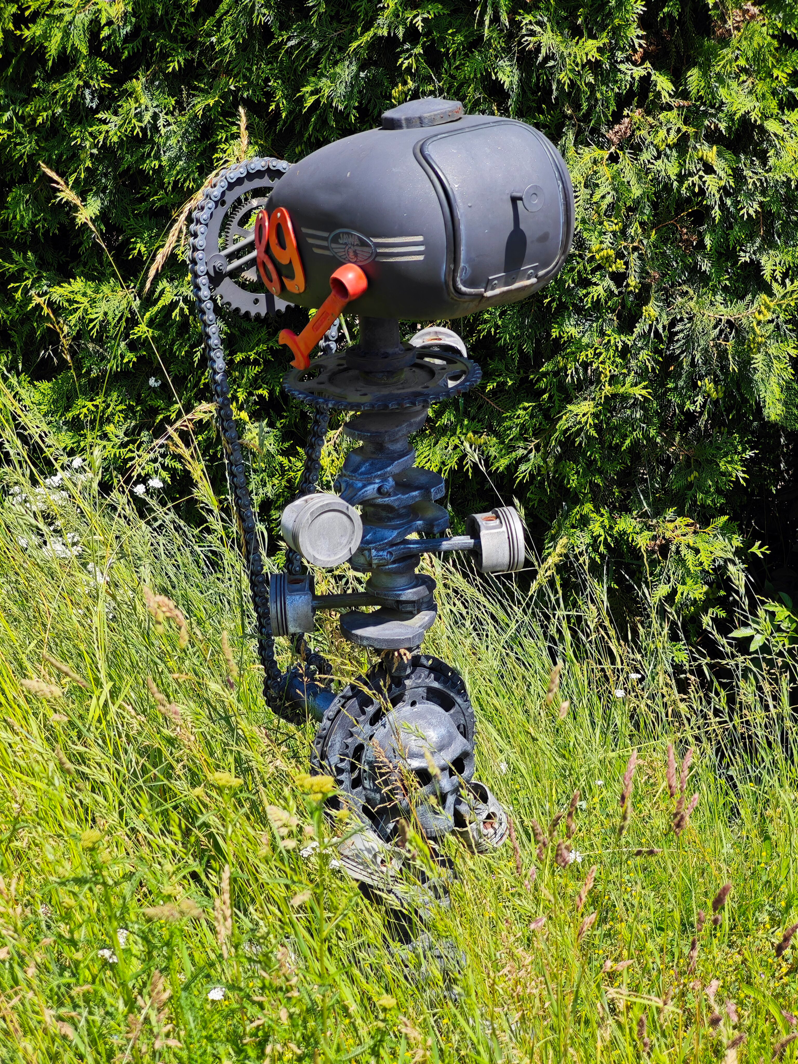 IMG 20240608 134048