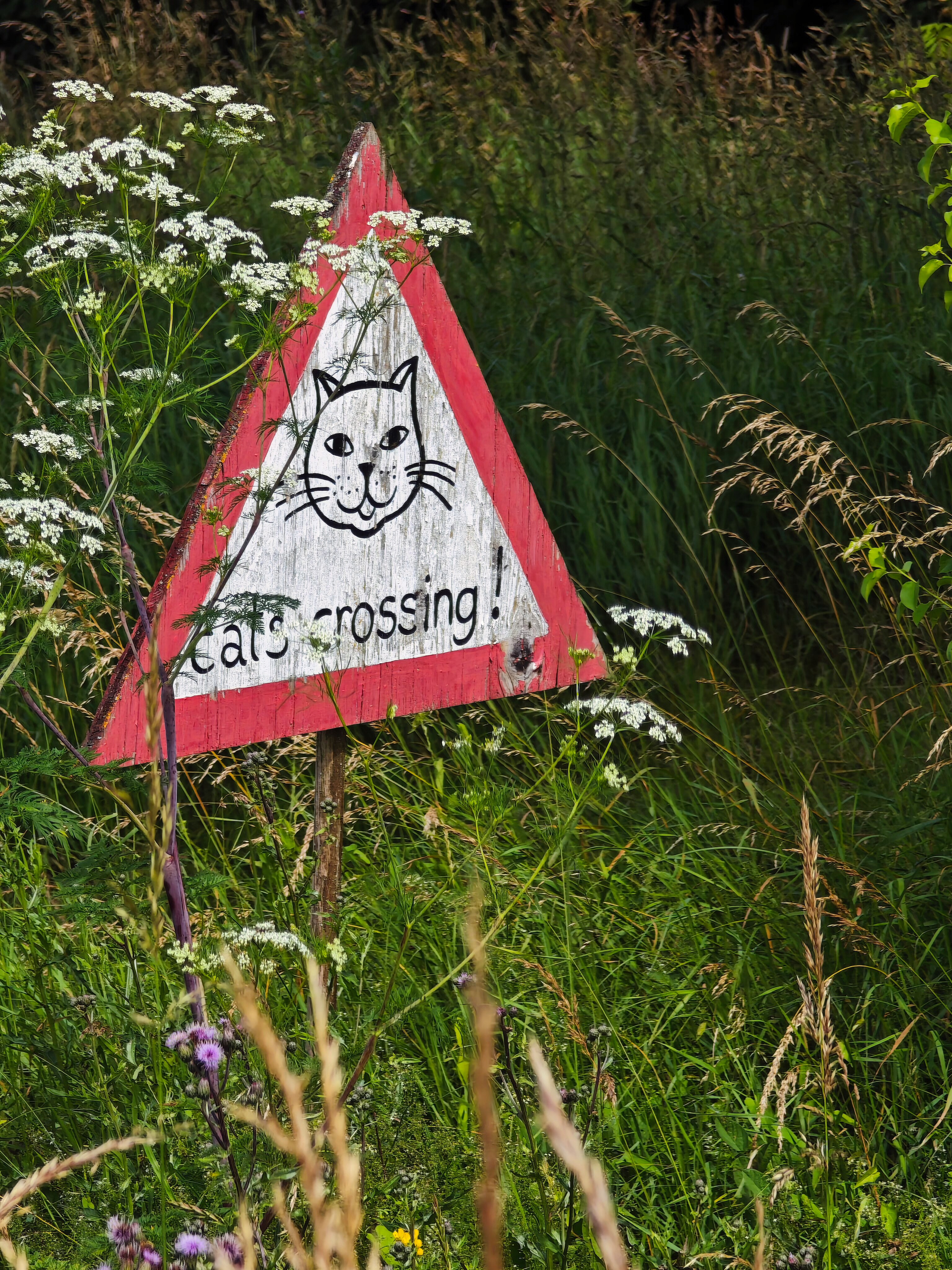 IMG 20240616 103348