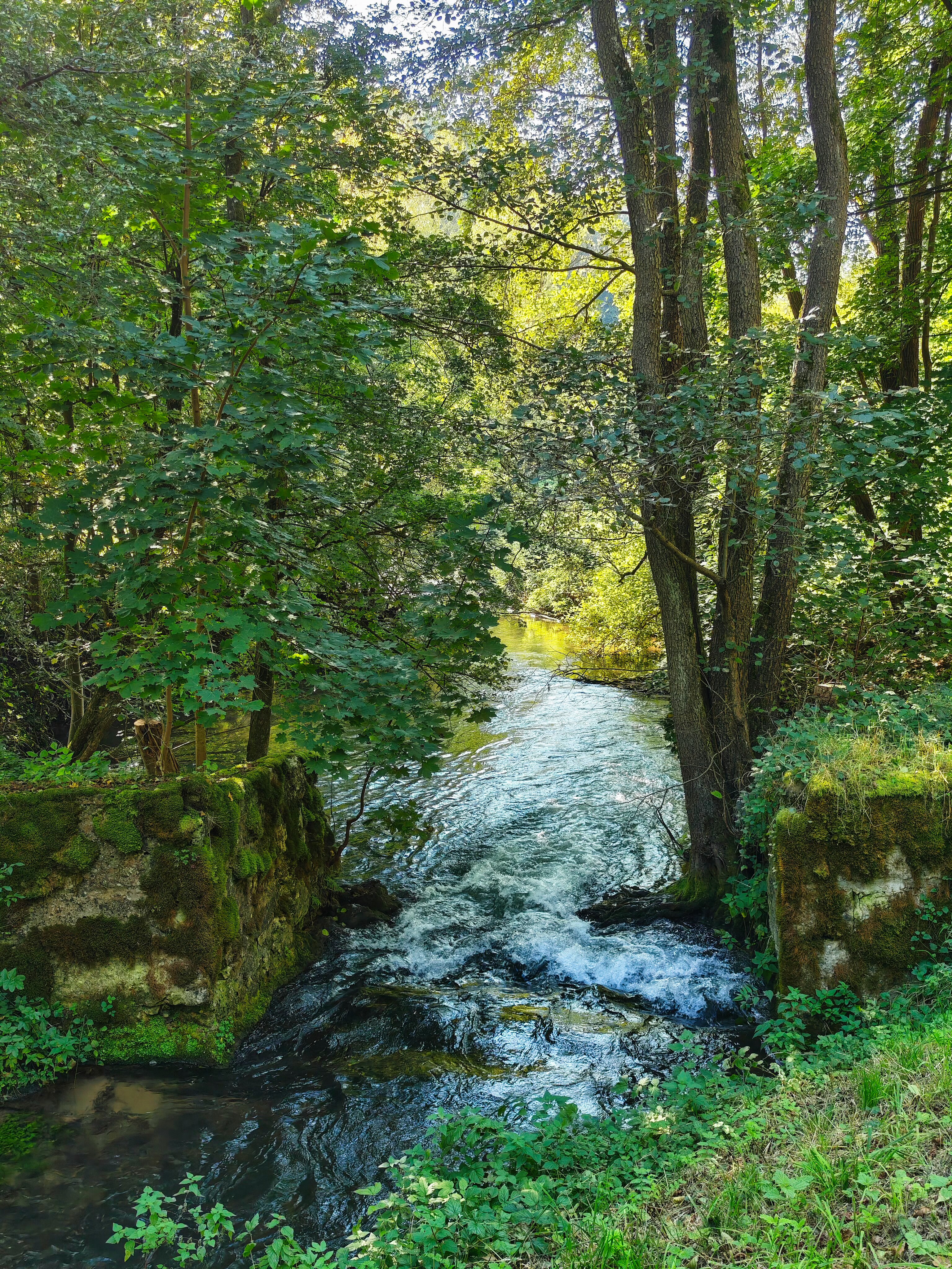 IMG 20240921 154617