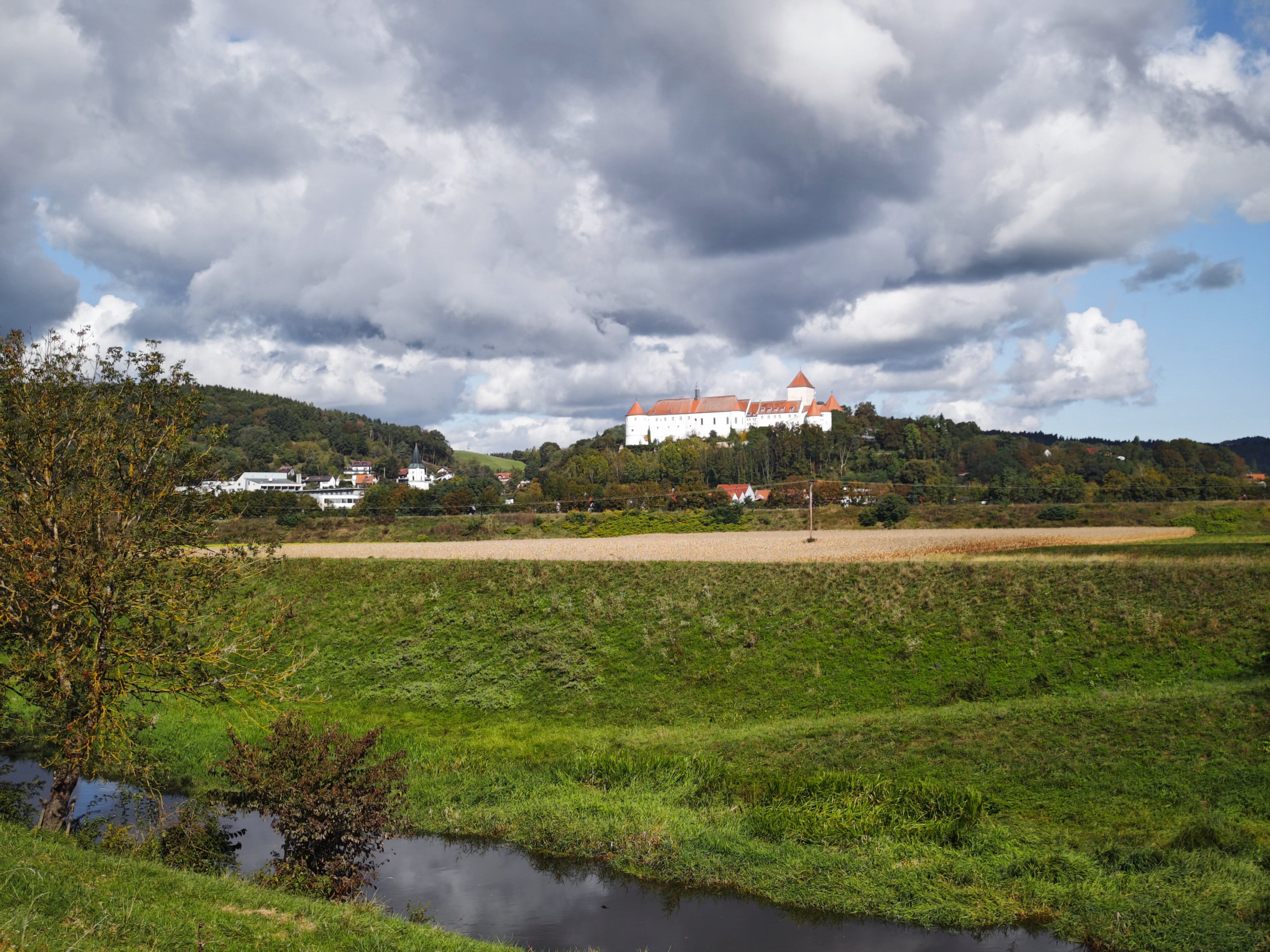 IMG 20240929 114652