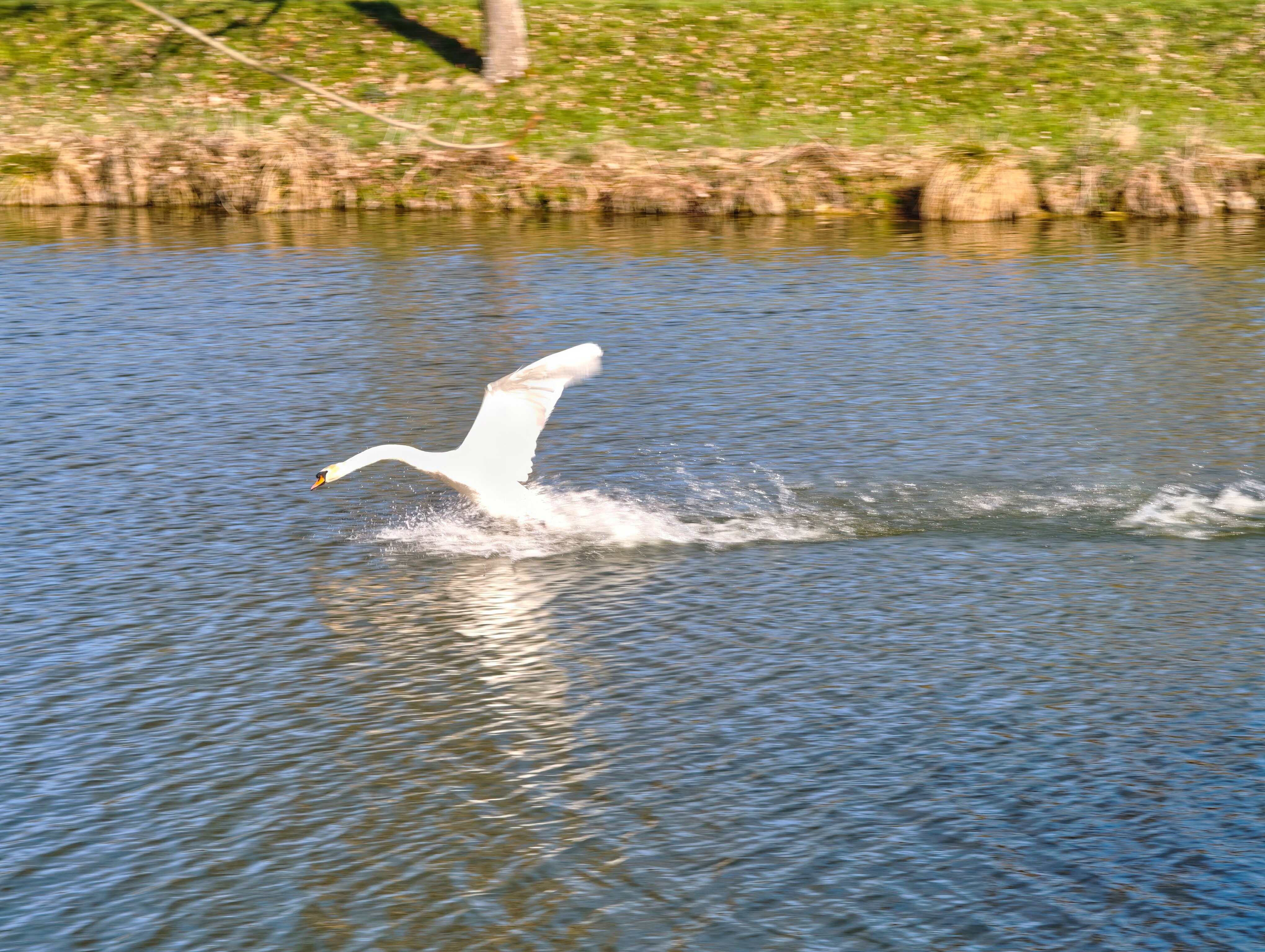 IMG 20250404 102019 1