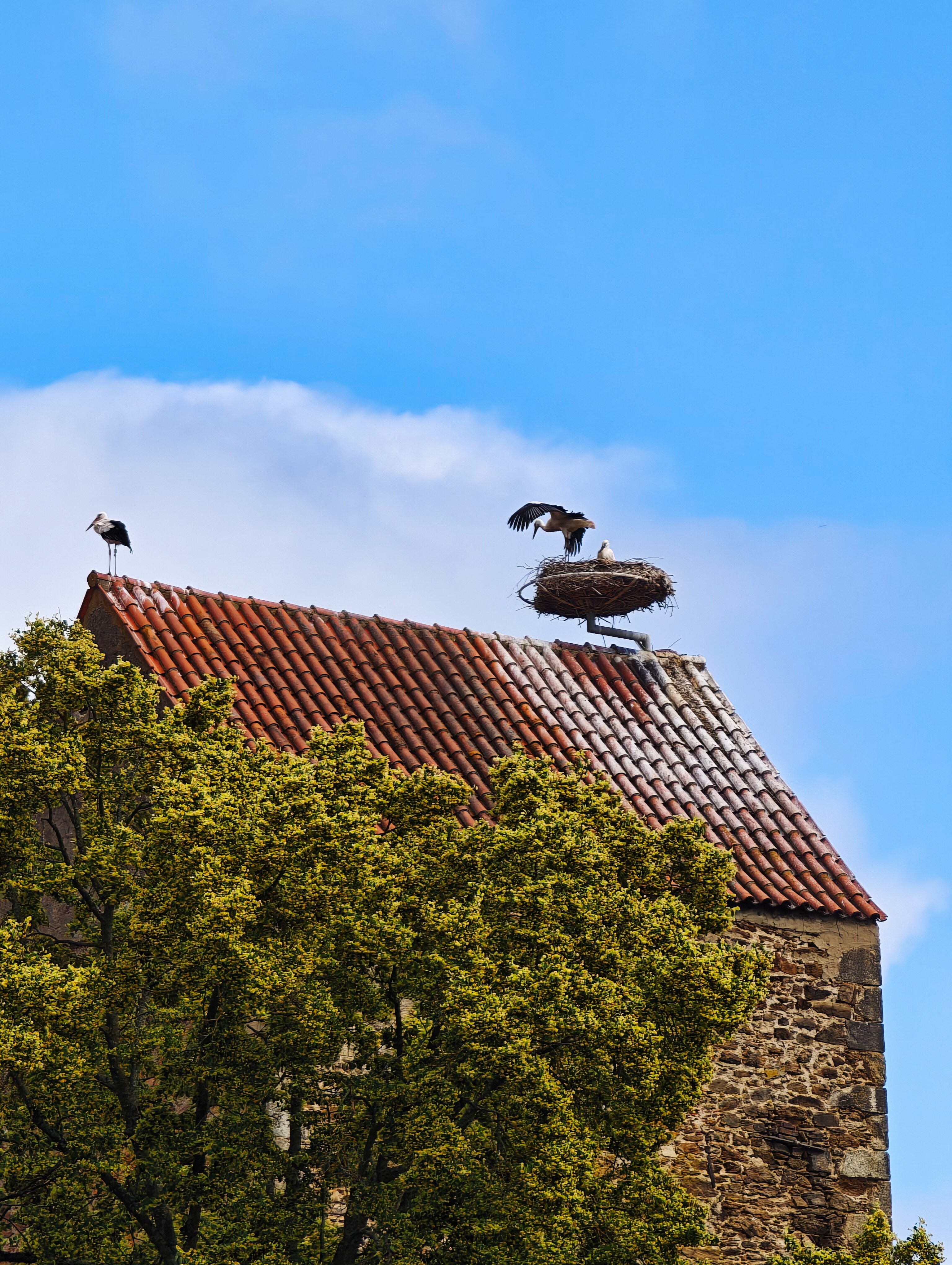 IMG 20250628 092318