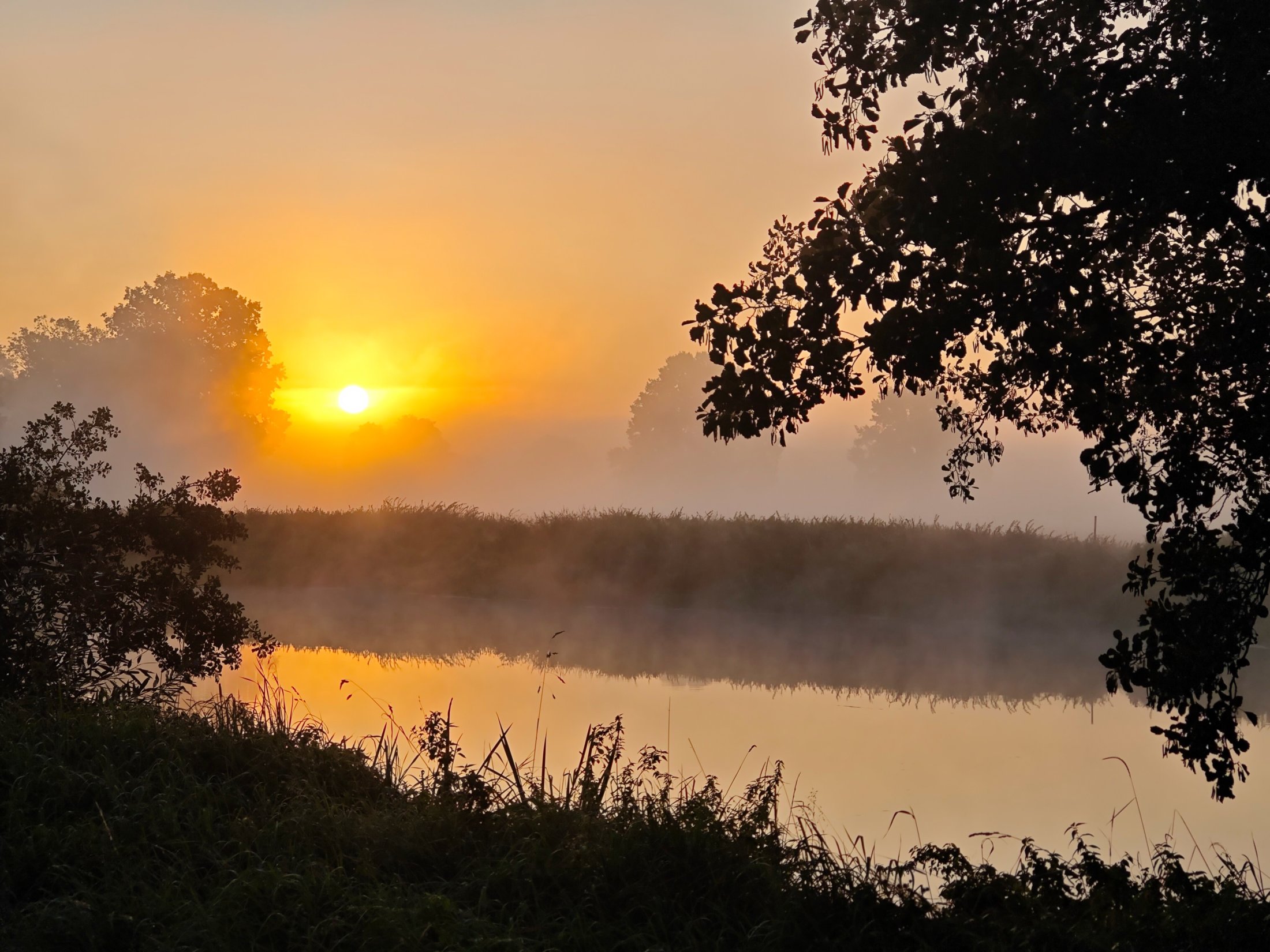 IMG 20230909 065418