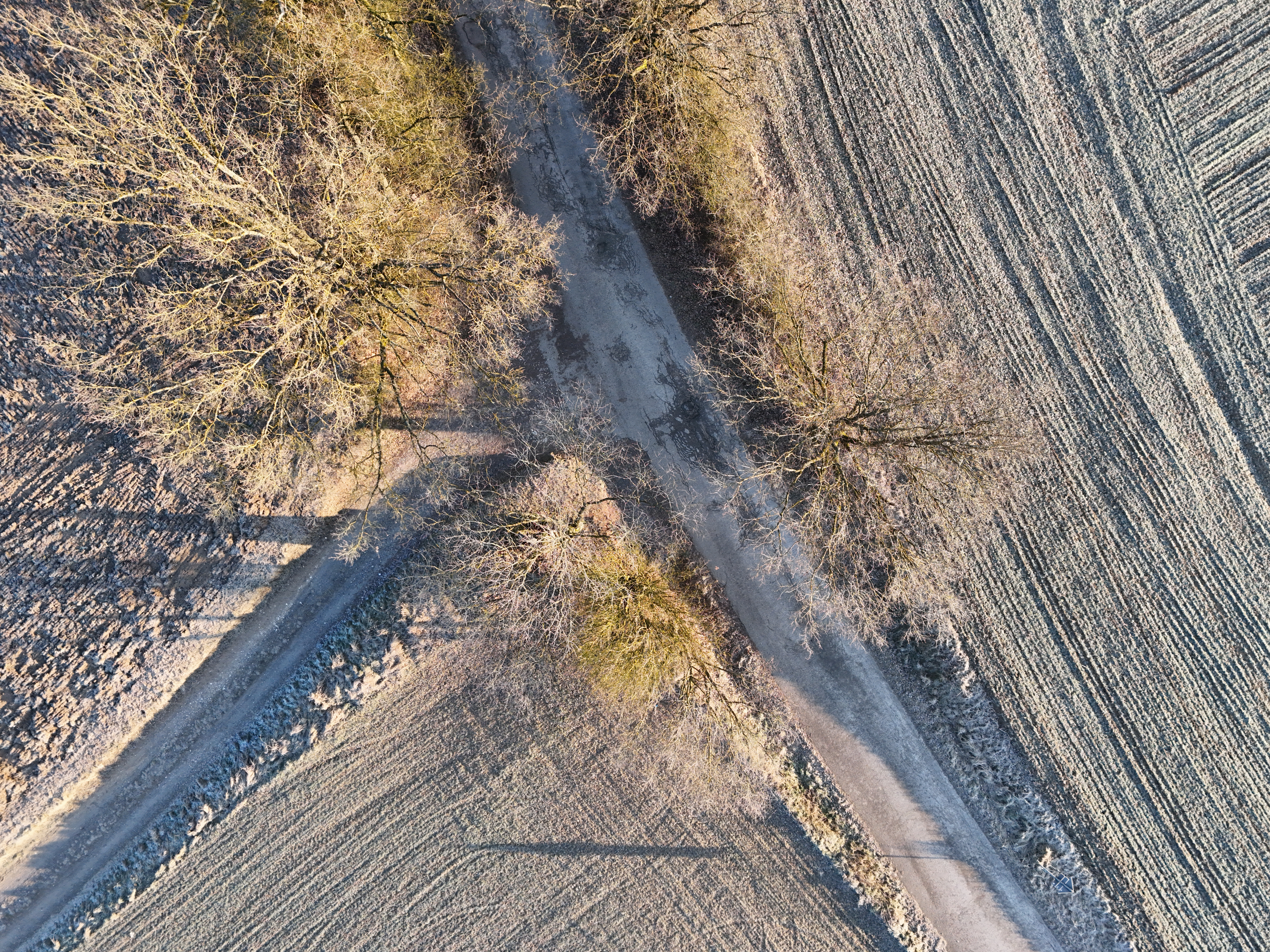 Dji fly 20250202 083342 0566 1738517733889 photo
