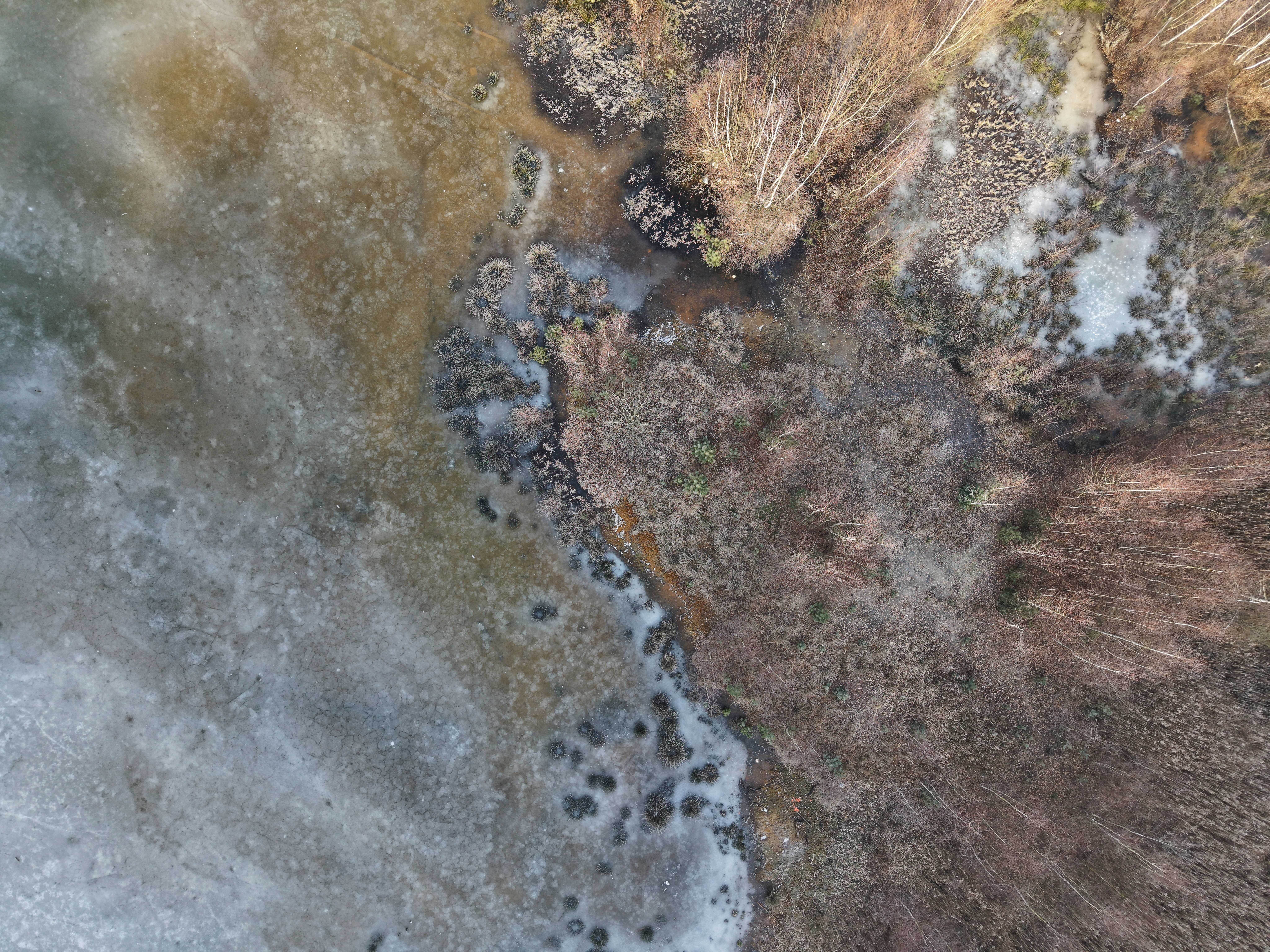Dji fly 20250209 094706 0783 1739093819180 photo