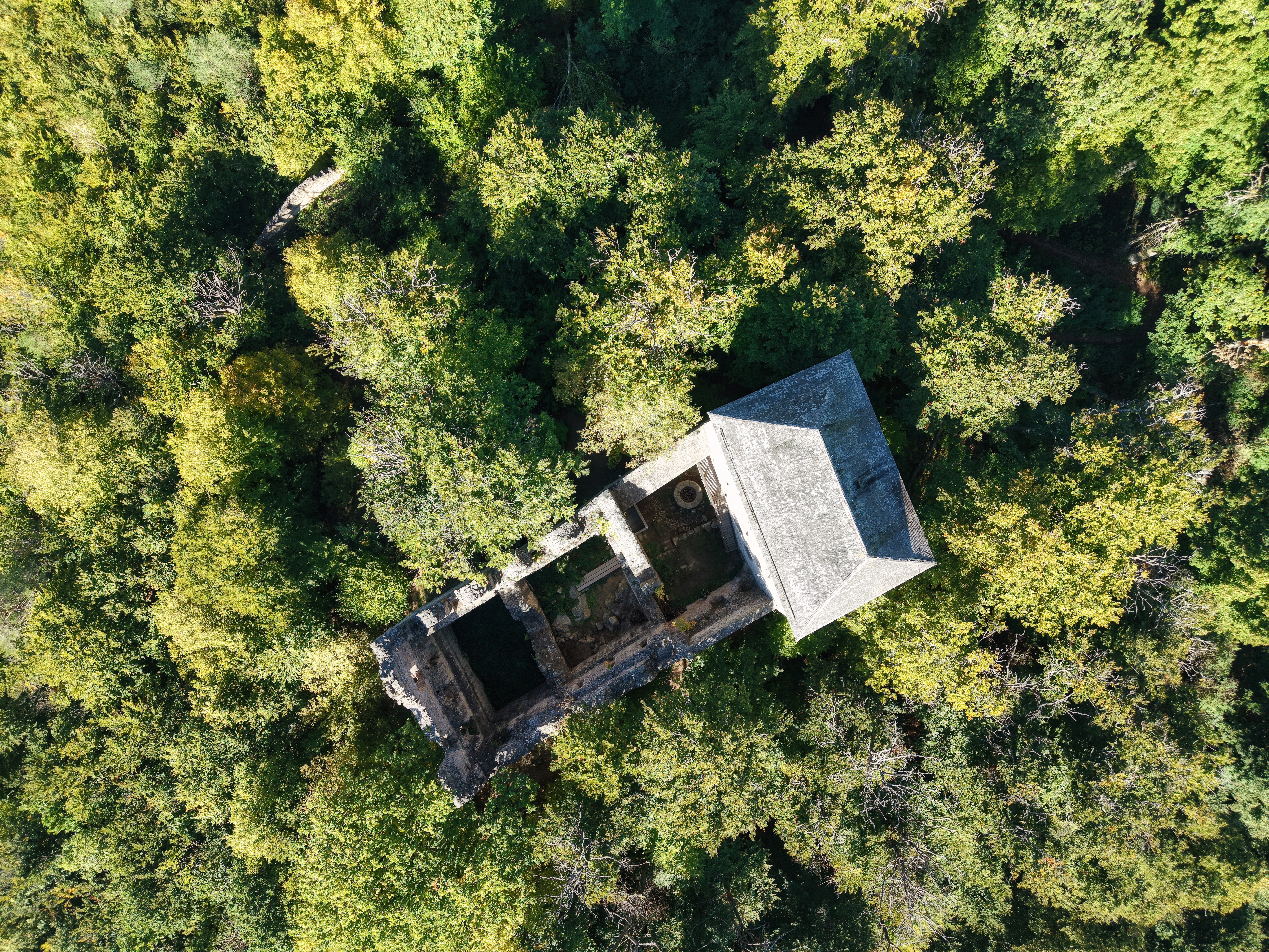 Dji fly 20251003 112544 0811 1759586868435 photo