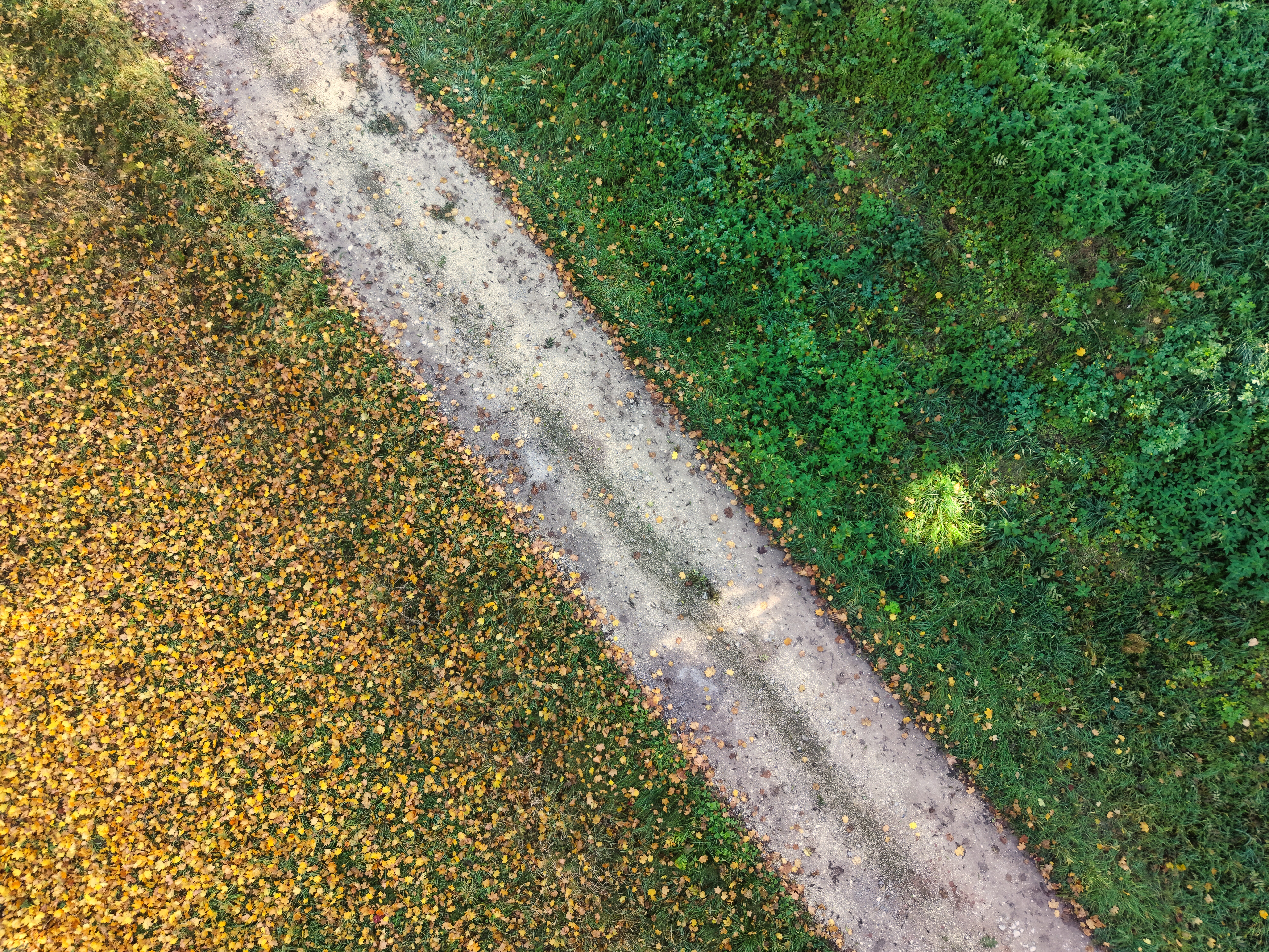 Dji fly 20251014 112508 0312 1760460499322 photo